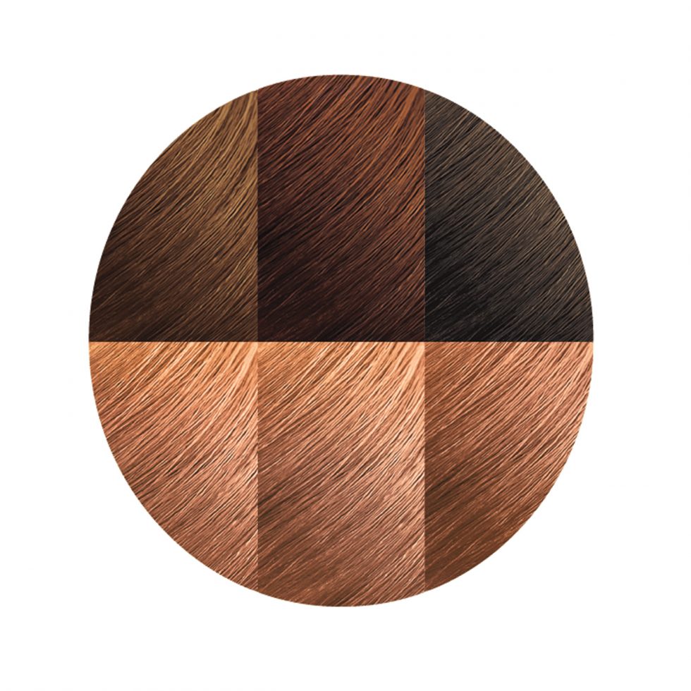 Exotic Shine™ Color with Argan Oil from Morocco 9.2 Light Caramel Brown